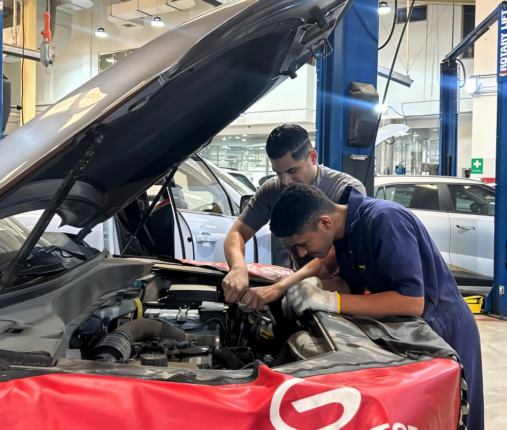 Sorry! Image not available at this time