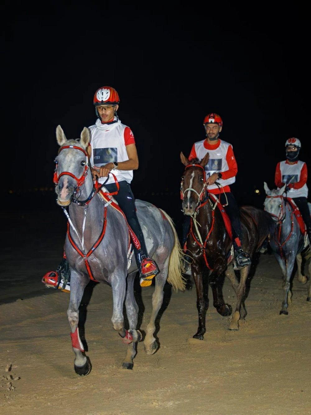 الاتحاد الملكي البحريني للفروسية وسباقات القدرة ينظم السباقات التأهيلية للقدرة