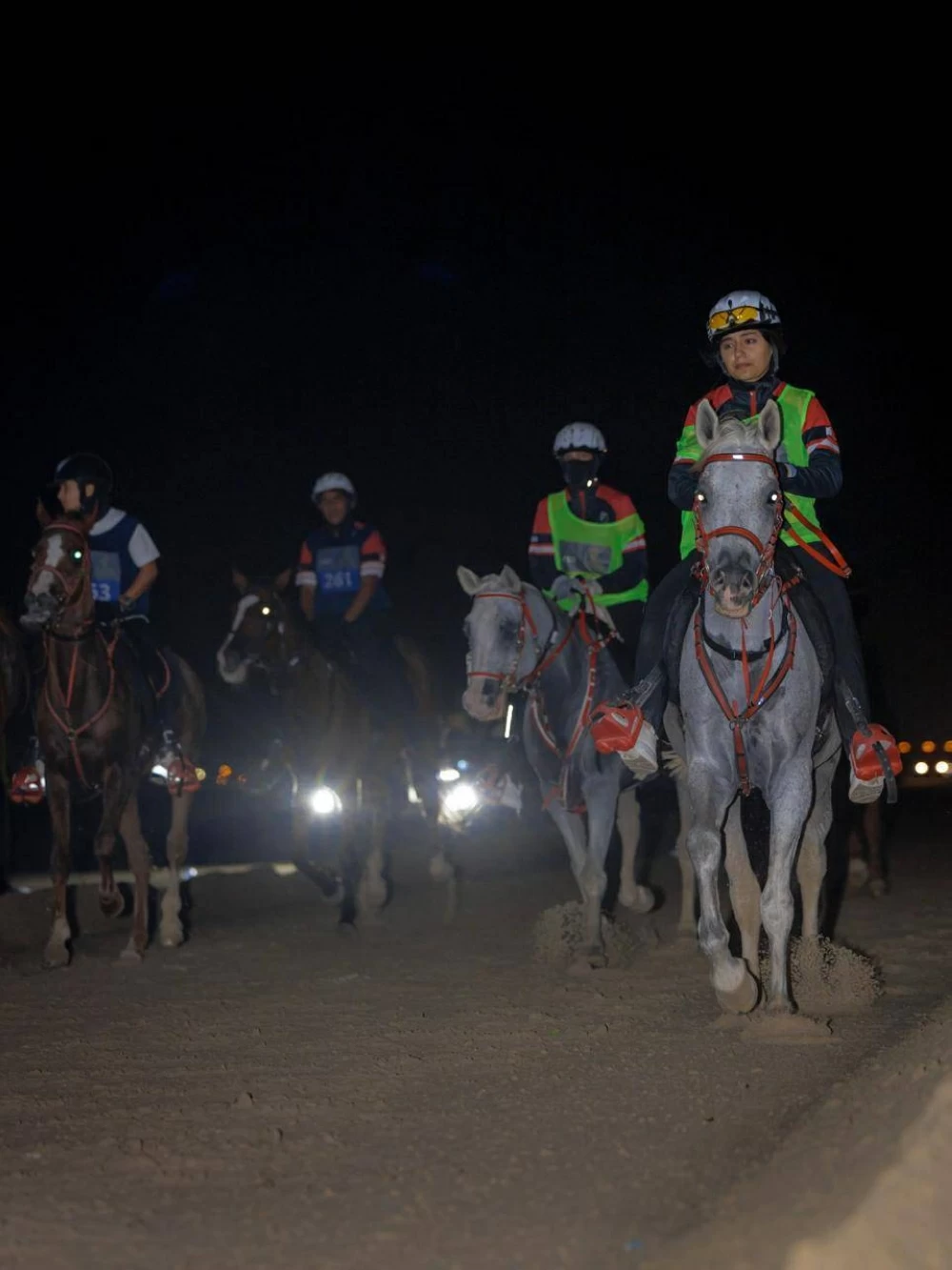 الاتحاد الملكي البحريني للفروسية وسباقات القدرة ينظم السباقات التأهيلية للقدرة