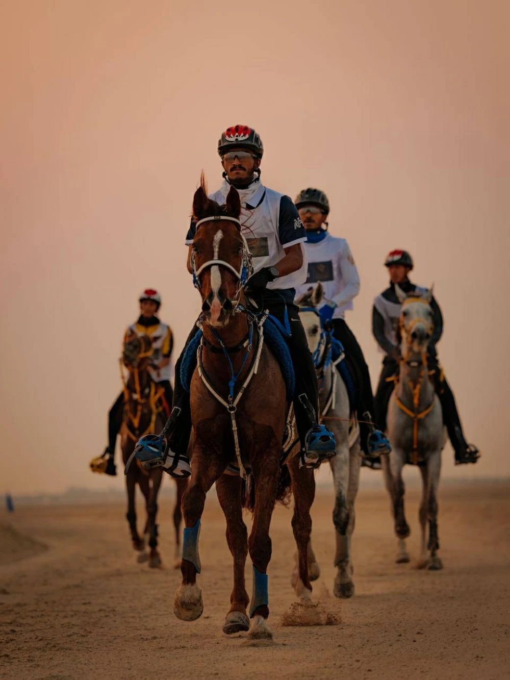 الاتحاد الملكي البحريني للفروسية وسباقات القدرة ينظم السباقات التأهيلية للقدرة