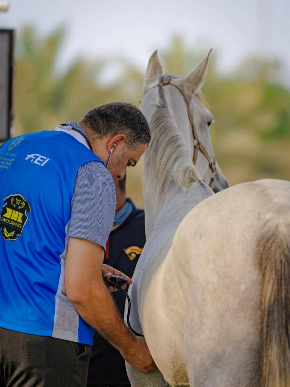 الاتحاد الملكي البحريني للفروسية وسباقات القدرة ينظم السباقات التأهيلية للقدرة