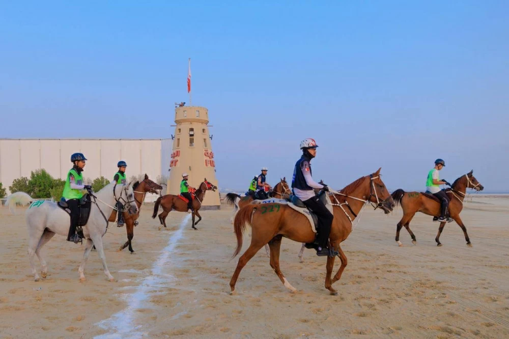 الاتحاد الملكي البحريني للفروسية وسباقات القدرة ينظم السباقات التأهيلية للقدرة