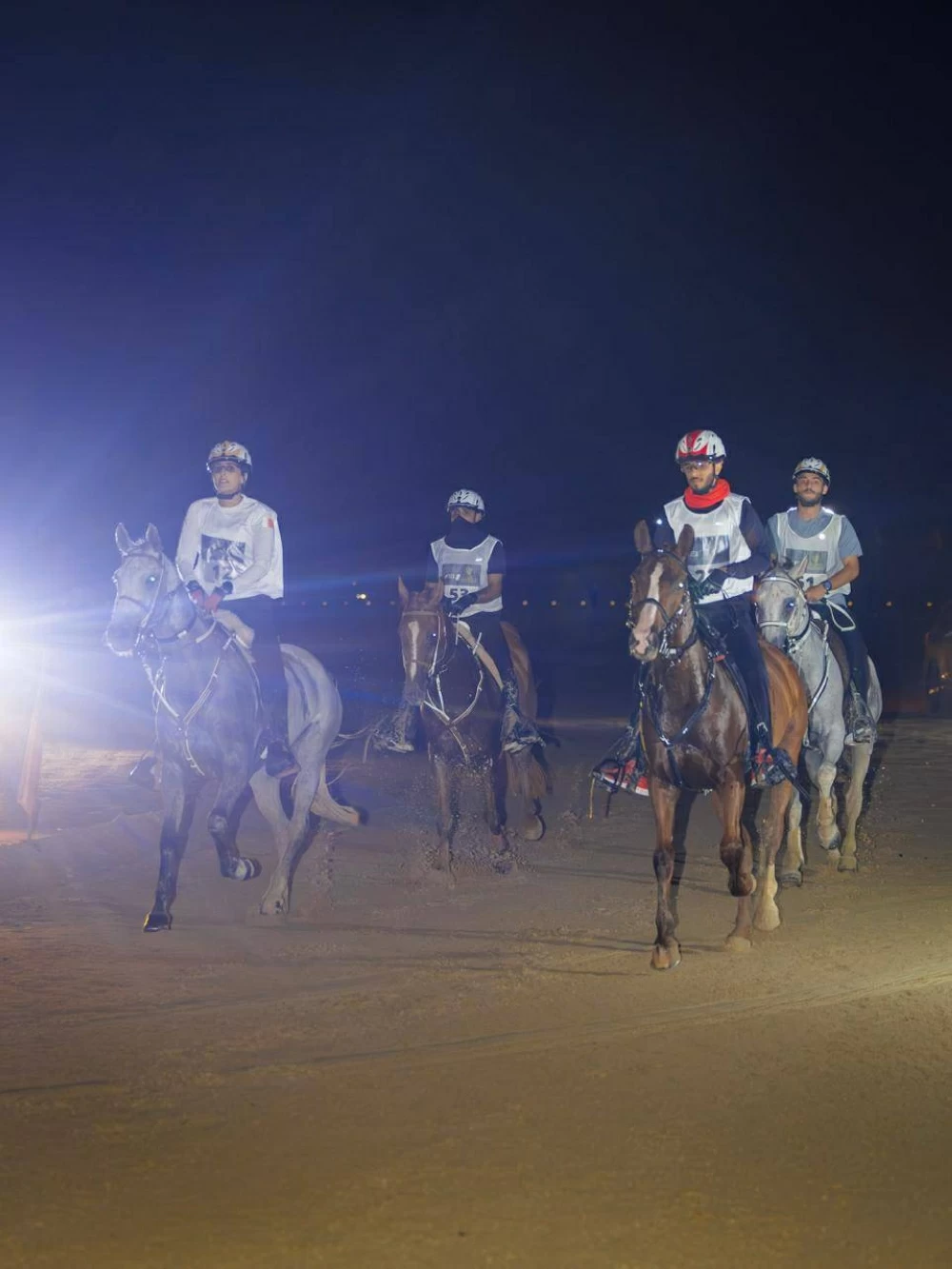 الاتحاد الملكي البحريني للفروسية وسباقات القدرة ينظم السباقات التأهيلية للقدرة