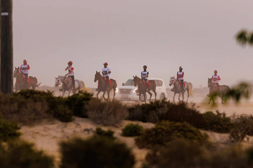 الاتحاد الملكي البحريني للفروسية وسباقات القدرة ينظم السباقات التأهيلية للقدرة