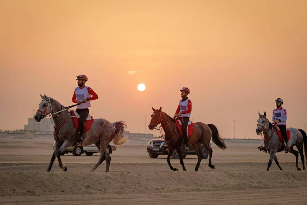 الاتحاد الملكي البحريني للفروسية وسباقات القدرة ينظم السباقات التأهيلية للقدرة