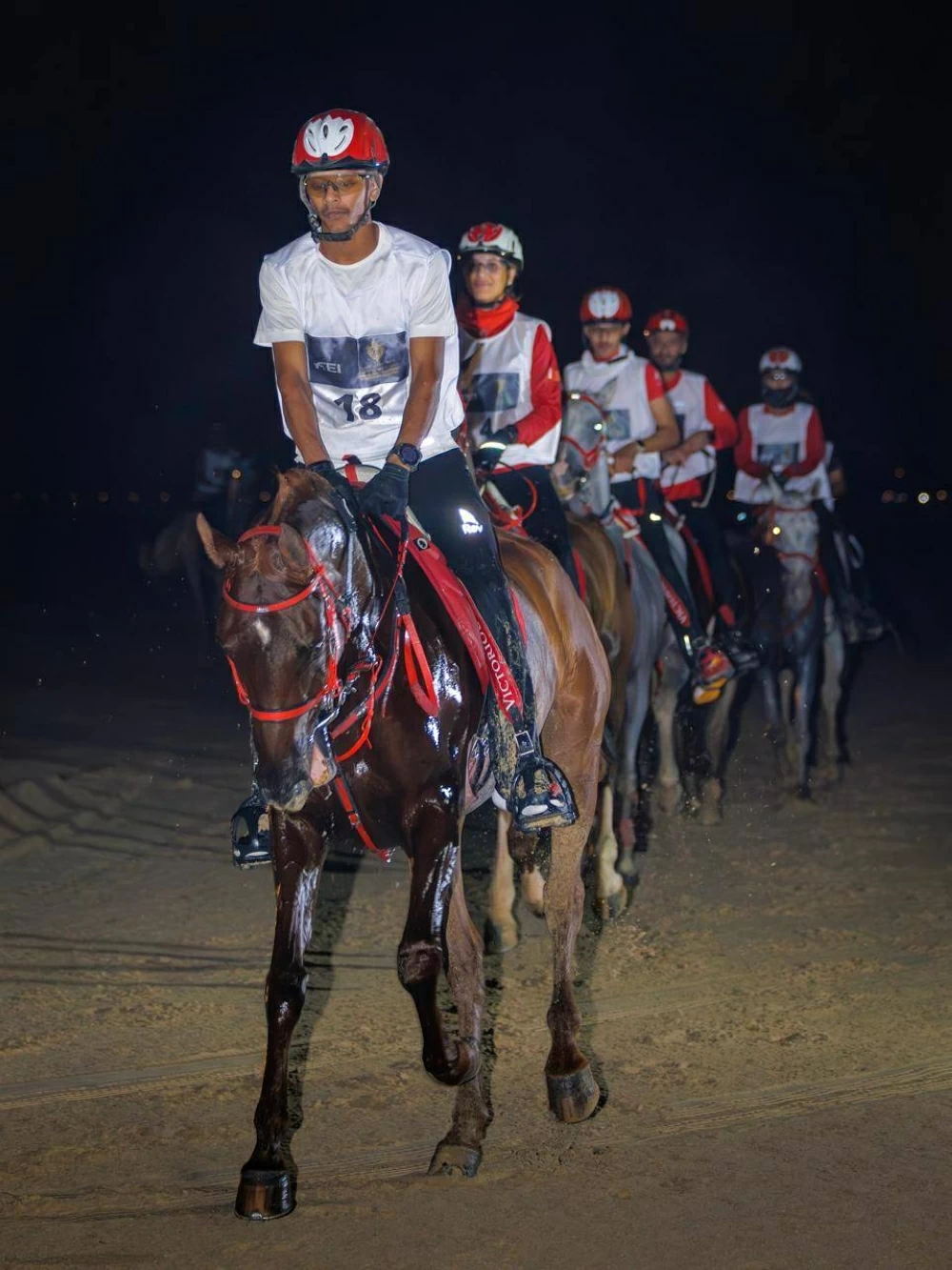 الاتحاد الملكي البحريني للفروسية وسباقات القدرة ينظم السباقات التأهيلية للقدرة