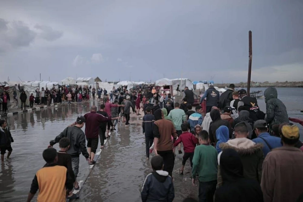 لمواجهة سوء الطقس.. قافلة خيام ومراكز إيواء مصرية جاهزة في غزة