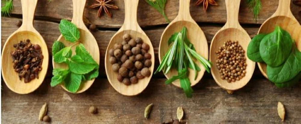 أريج السعد: الأعشاب لا يمكن أن تحل محل أدوية السكري ودورها تكميلي فقط