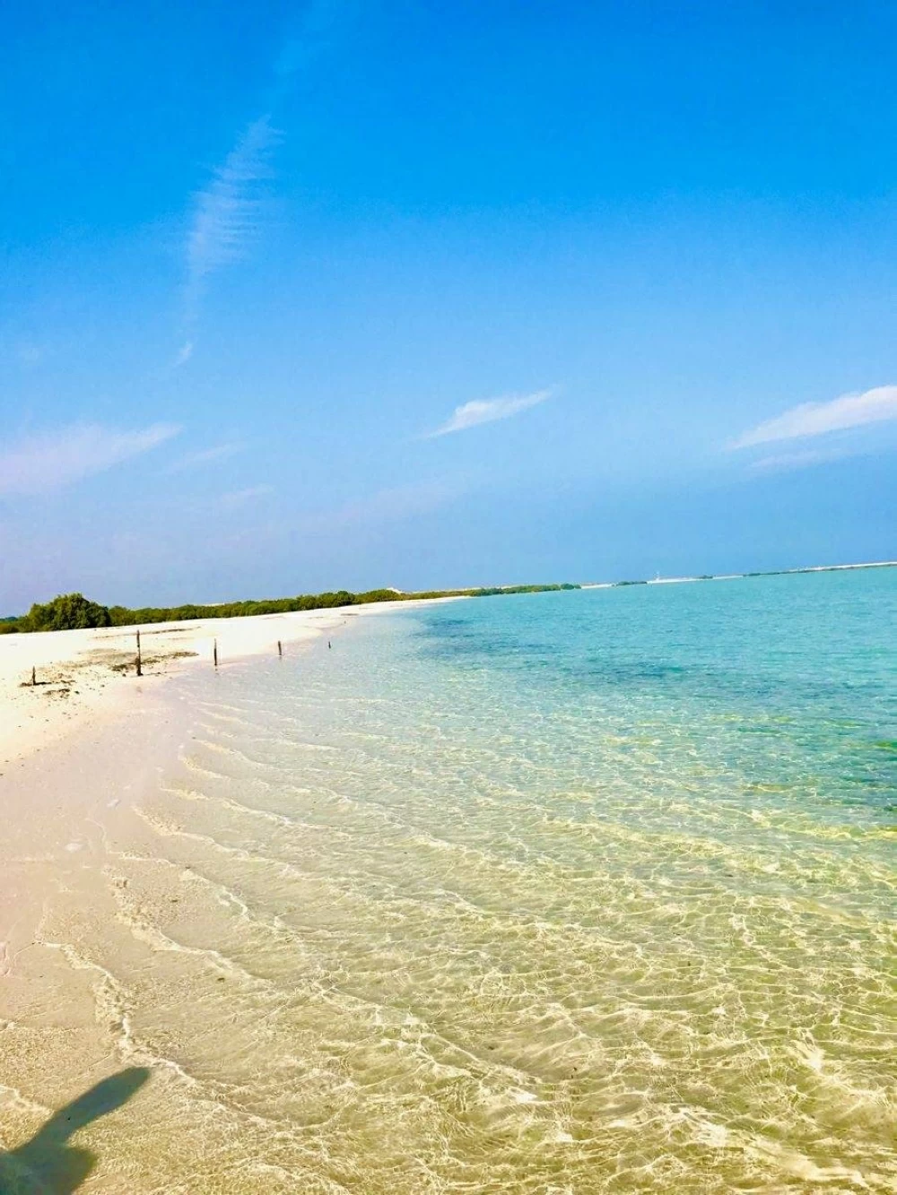 أبوظبي.. روح الضيافة العربية الأصيلة ورمز الثقافة والتعايش