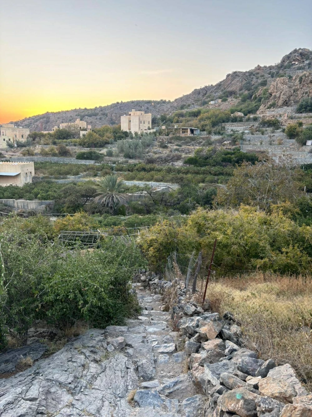 من صلالة إلى مسقط.. وجه جديد للسياحة العُمانية