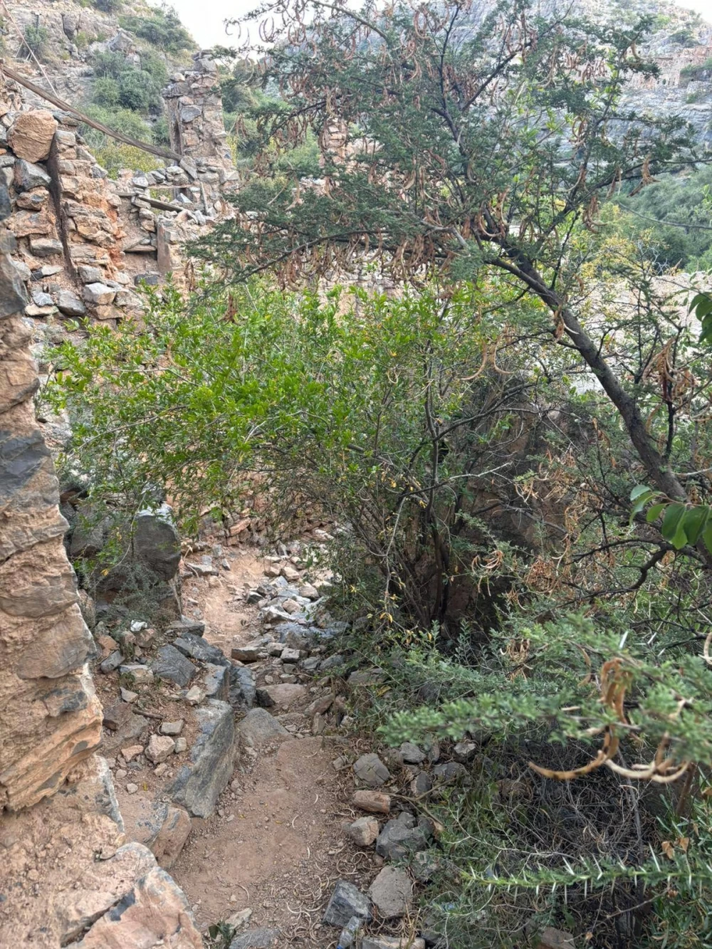 من صلالة إلى مسقط.. وجه جديد للسياحة العُمانية