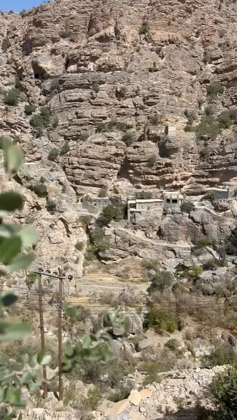 قرية السوجرة.. أيقونة الجبل الأخضر تتحول لمعلم عماني سياحي بارز