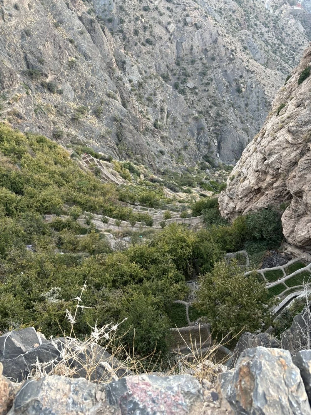الجبل الأخضر.. خُضرة الروح قبل المكان