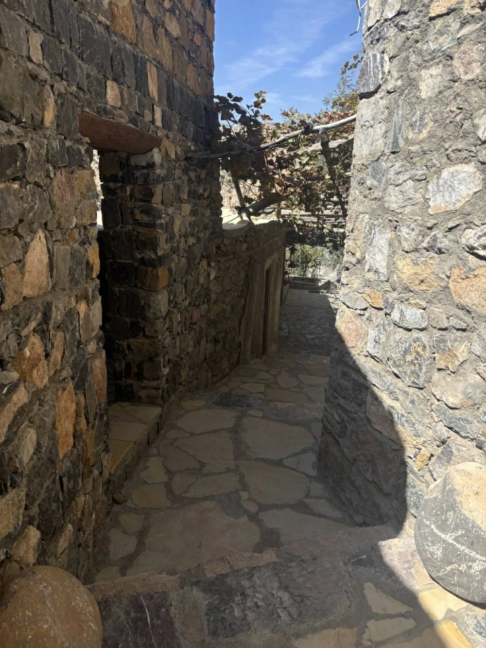 الجبل الأخضر.. خُضرة الروح قبل المكان