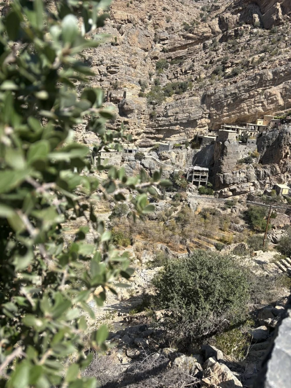 الجبل الأخضر.. خُضرة الروح قبل المكان