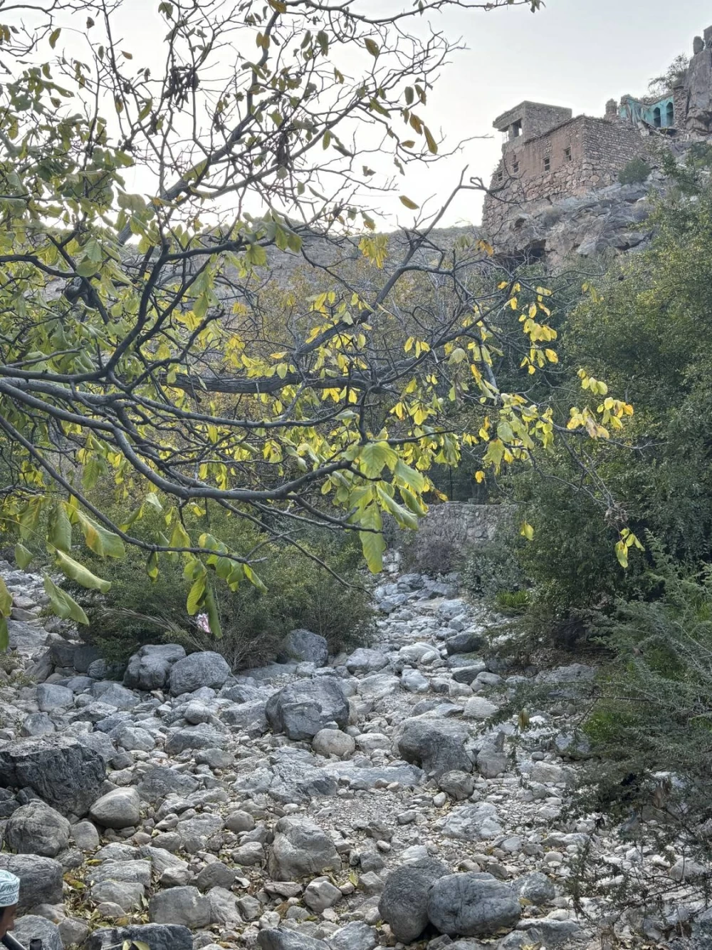 الجبل الأخضر.. خُضرة الروح قبل المكان