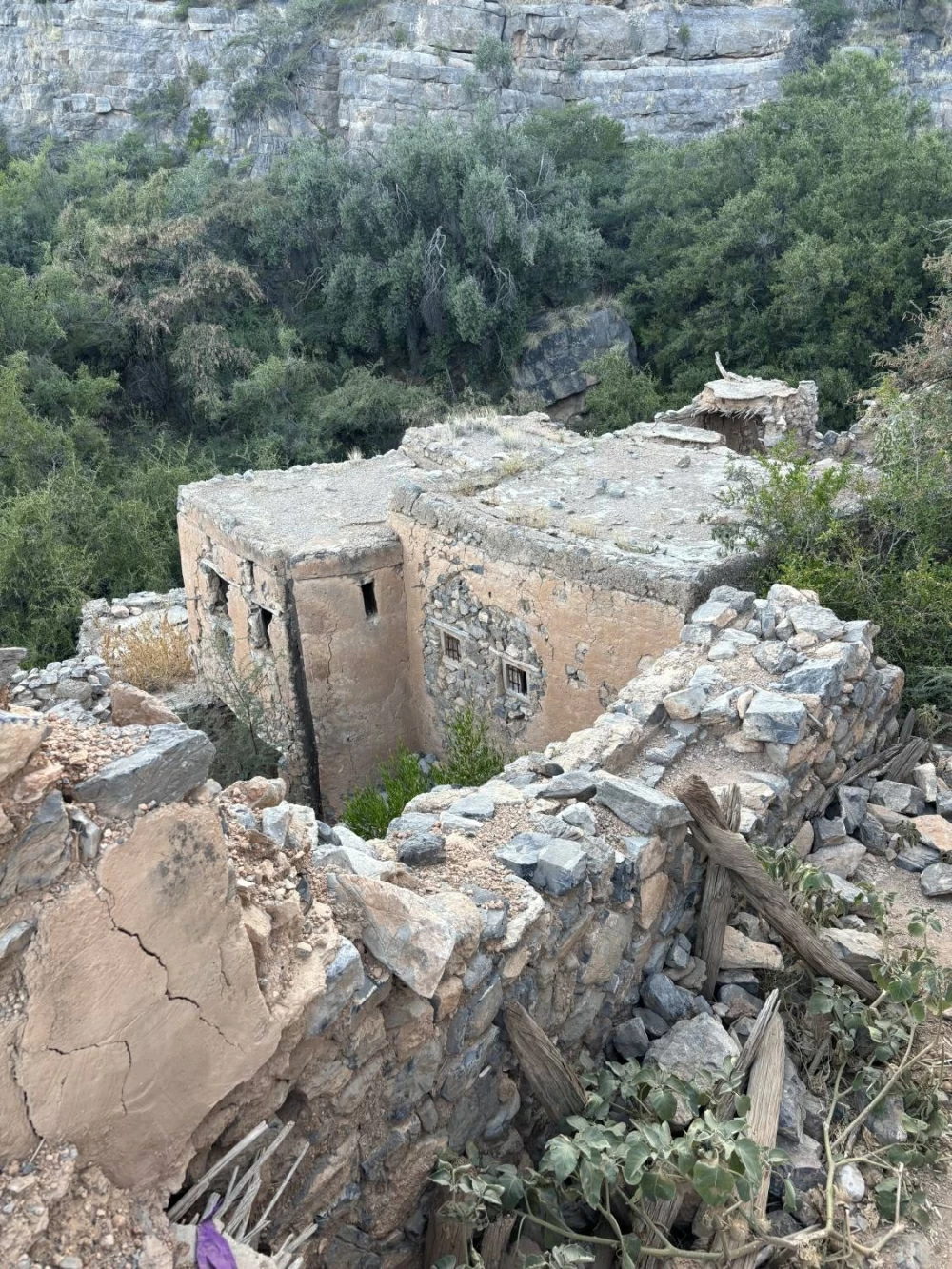 الجبل الأخضر.. خُضرة الروح قبل المكان