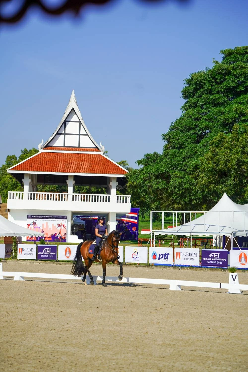 الفارسة أنيسة آل محمود تمثل البحرين في بطولة آسيا 2025 للفروسية