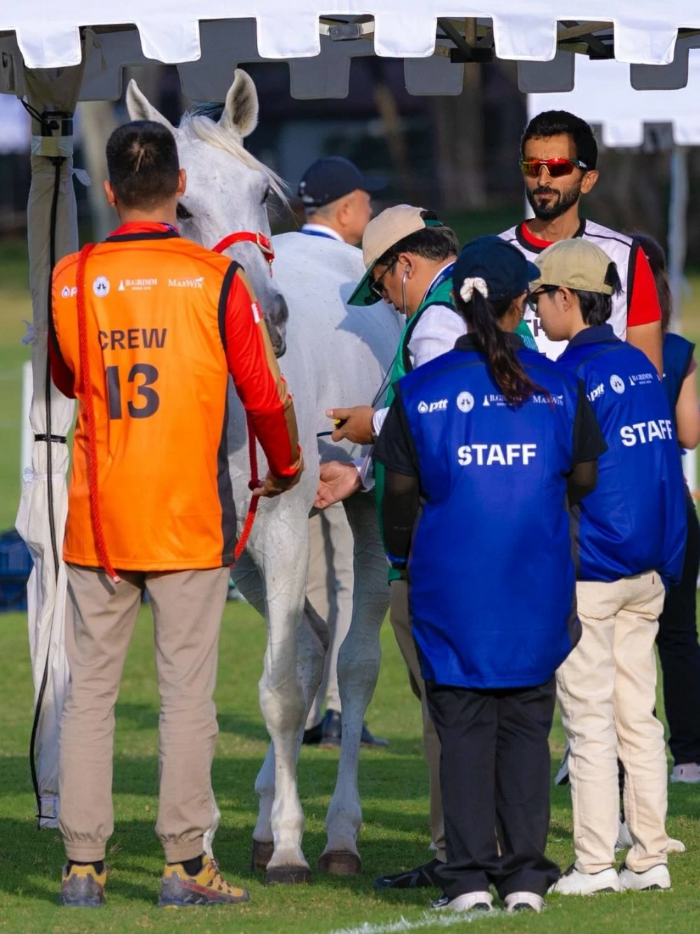 ناصر بن حمد يشهد الفحص البيطري لبطولة آسيا للفروسية في تايلاند