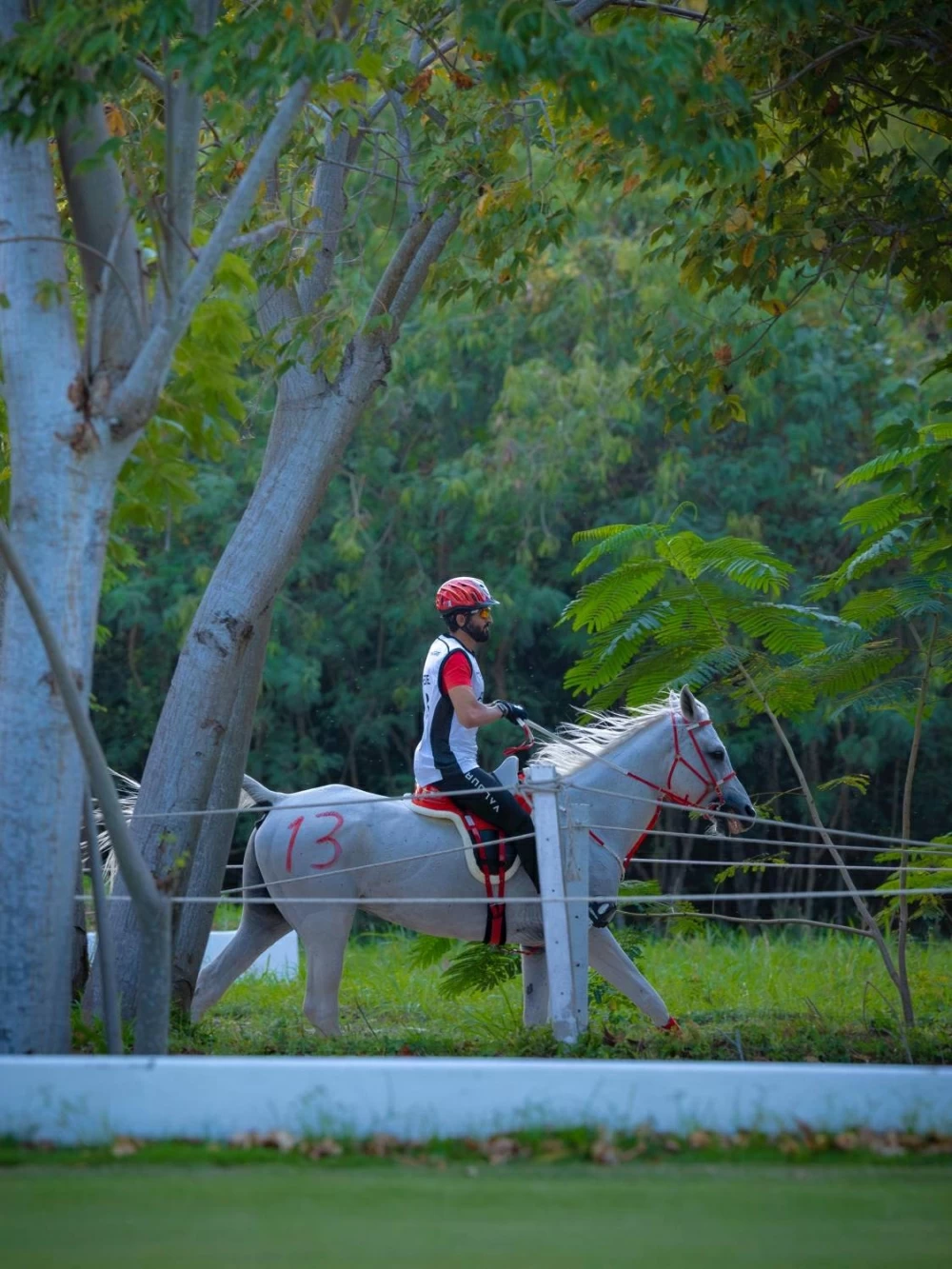 ناصر بن حمد يشهد الفحص البيطري لبطولة آسيا للفروسية في تايلاند