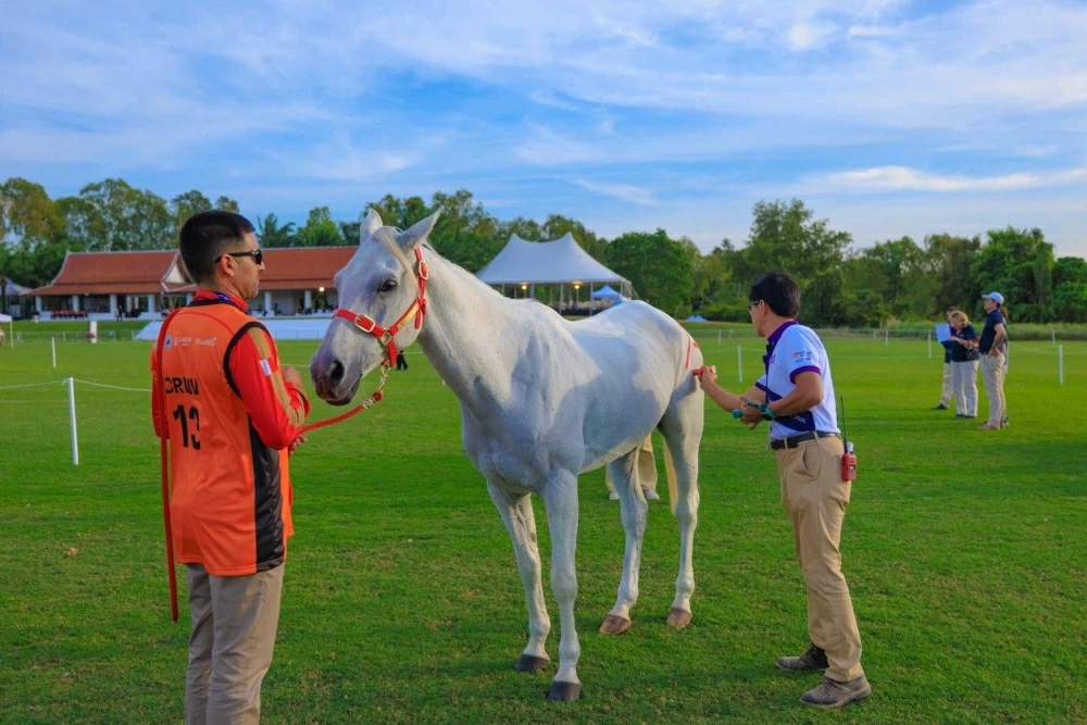 ناصر بن حمد يشهد الفحص البيطري لبطولة آسيا للفروسية في تايلاند