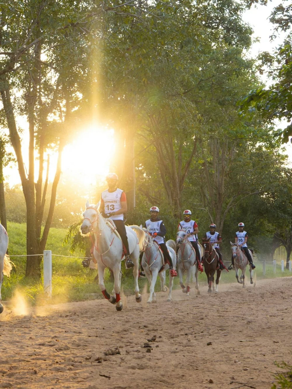 ناصر بن حمد يشهد الفحص البيطري لبطولة آسيا للفروسية في تايلاند