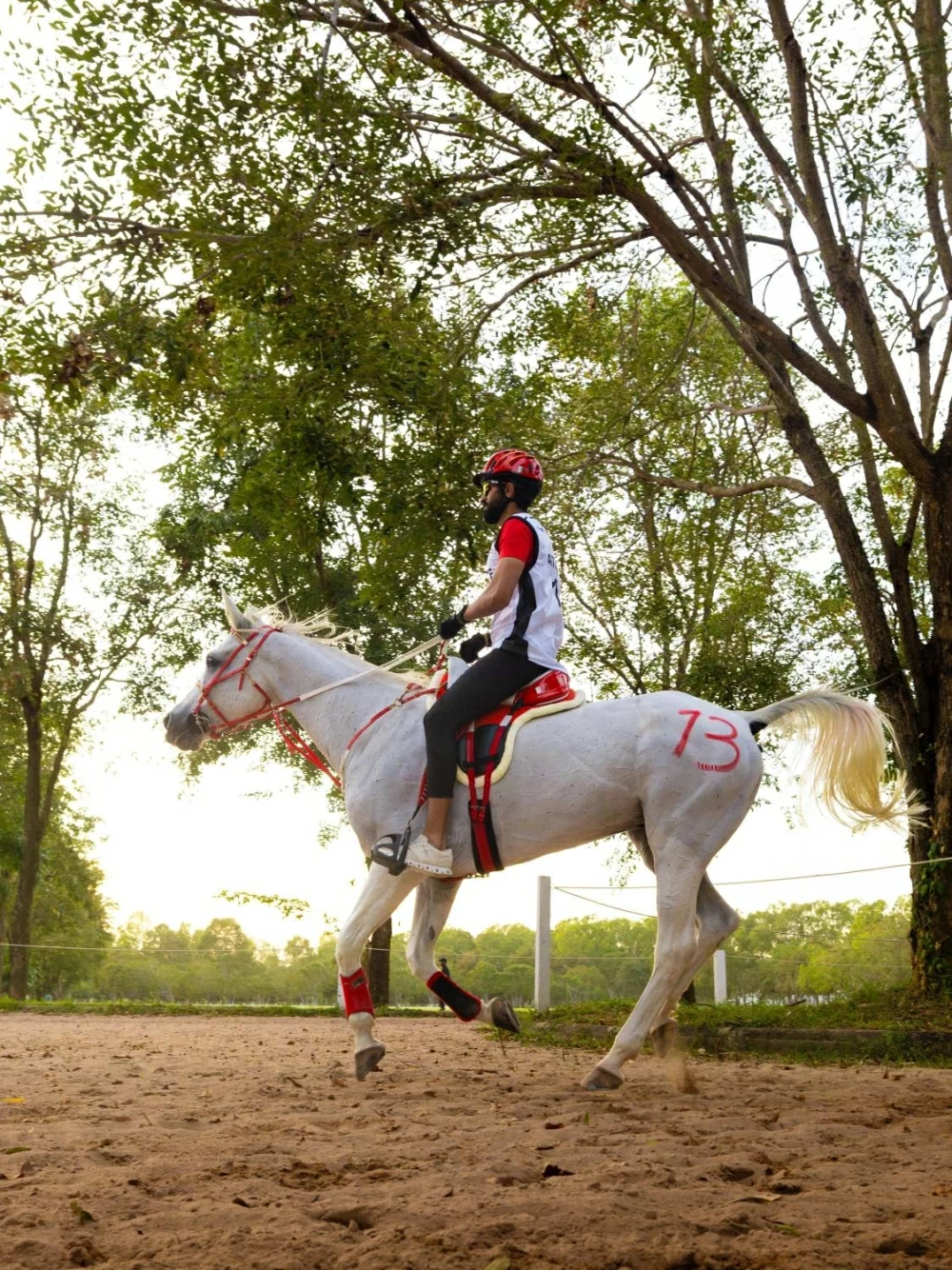ناصر بن حمد يشهد الفحص البيطري لبطولة آسيا للفروسية في تايلاند