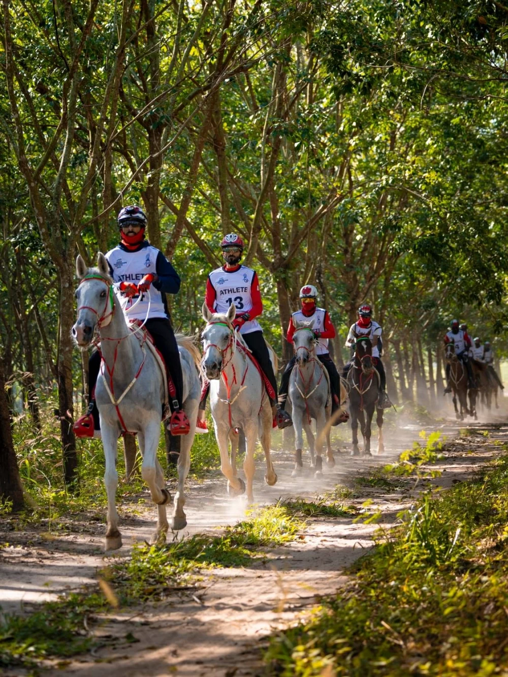 ناصر بن حمد يشارك في بطولة آسيا للفروسية