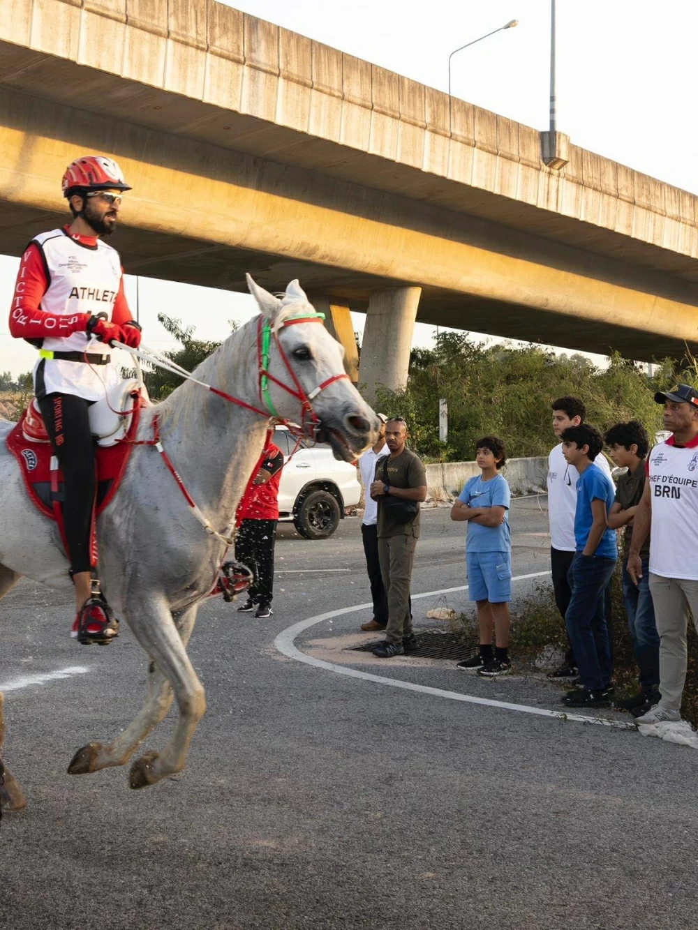 ناصر بن حمد يشارك في بطولة آسيا للفروسية