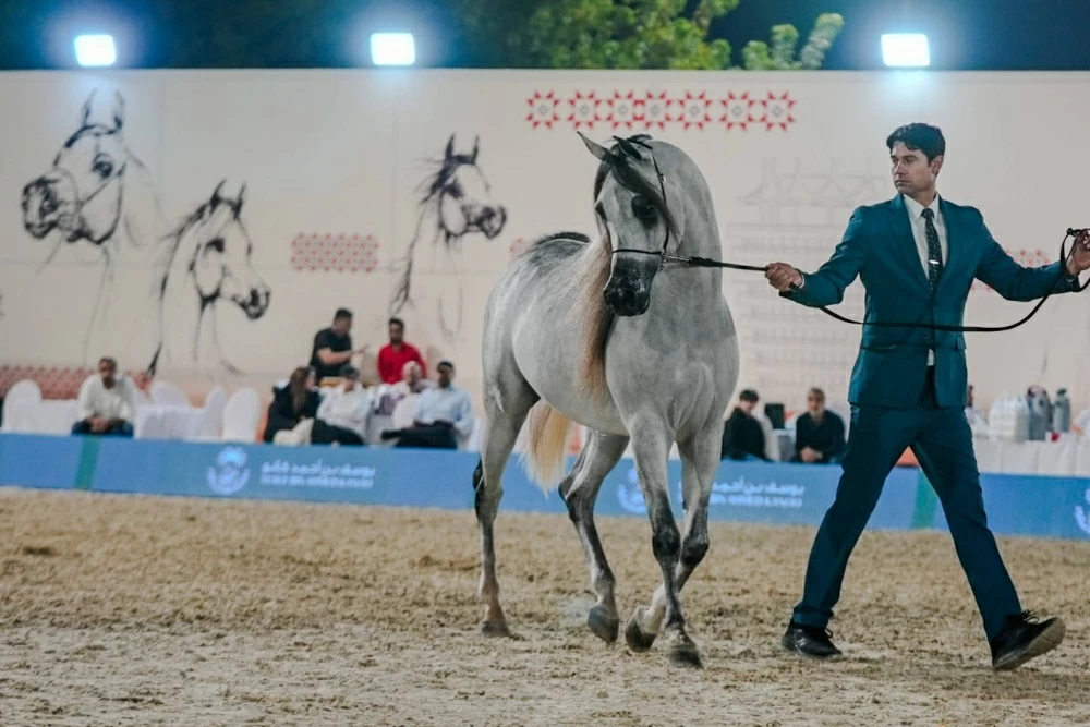 ختام مميز لبطولة البحرين الوطنية لجمال الخيل العربية