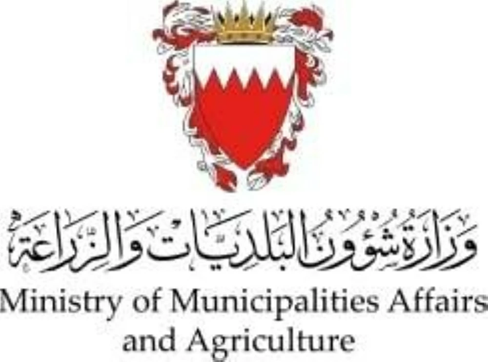 7 أنشطة تُمارَس دون ترخيص بسبب ثغرات نظام &laquo;سجلات&raquo;