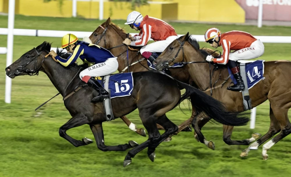 كؤوس بنك البحرين الوطني تشعل منافسات الجياد