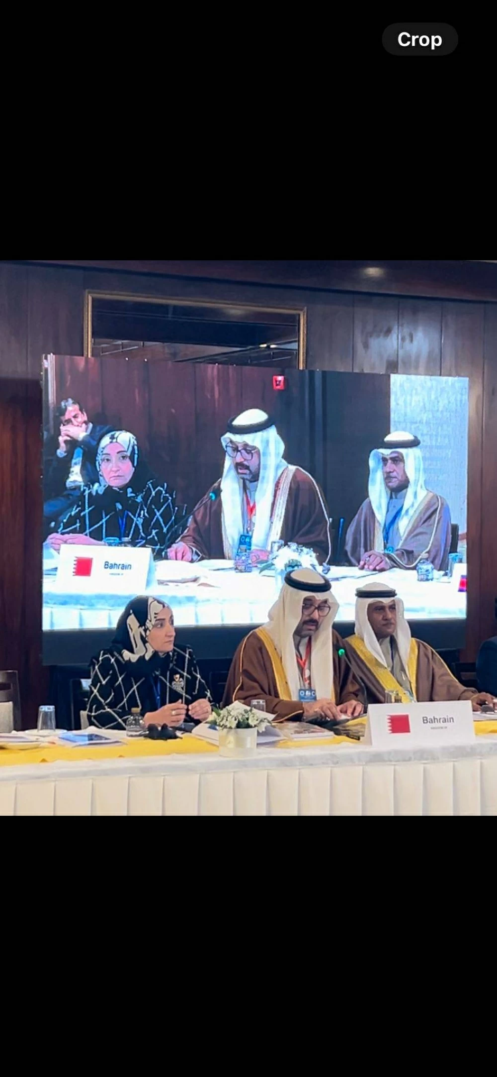 النائب السلوم: التمسك بالقضية الفلسطينية واجب أخلاقي