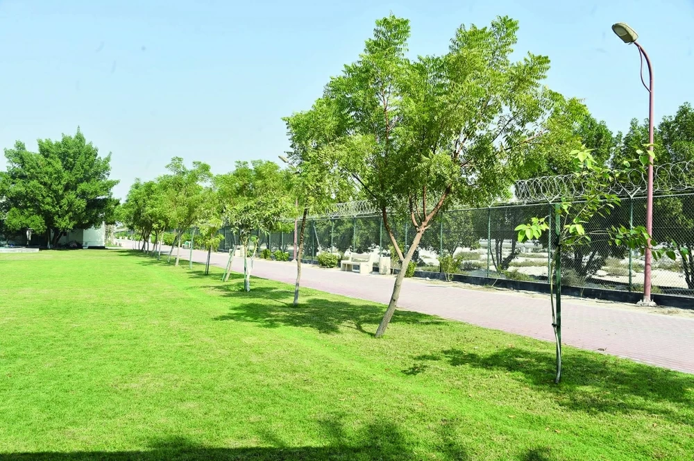 عبدالله عاشور لـ&laquo;الوطن&raquo;: تطوير الطرق والمرافق والخدمات بعالي والرملي ضمن جهود تعزيز البنية التحتي