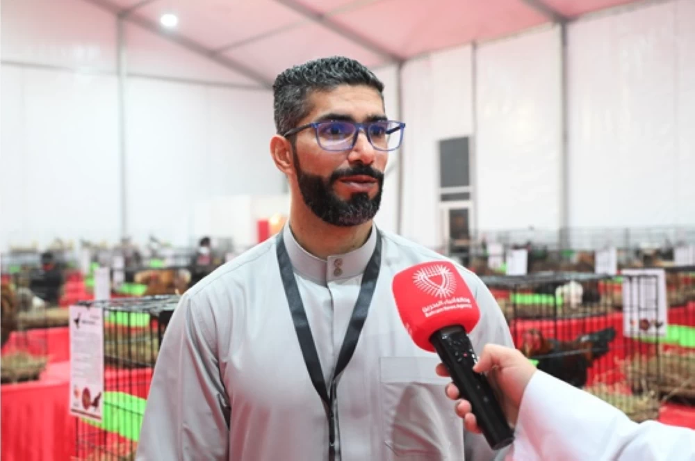 &laquo;مراعي 2025&raquo; منصة متنوعة لعرض سلالات حمام الزينة والدواجن النادرة