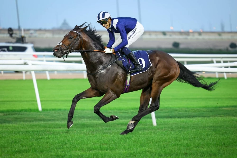 ولي العهد رئيس الوزراء يشهد مهرجان الرفه للإعلام لسباق الخيل