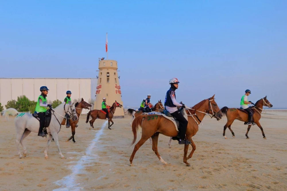 الاتحاد الملكي البحريني للفروسية وسباقات القدرة ينظم بطولة العيد الوطني للقدرة