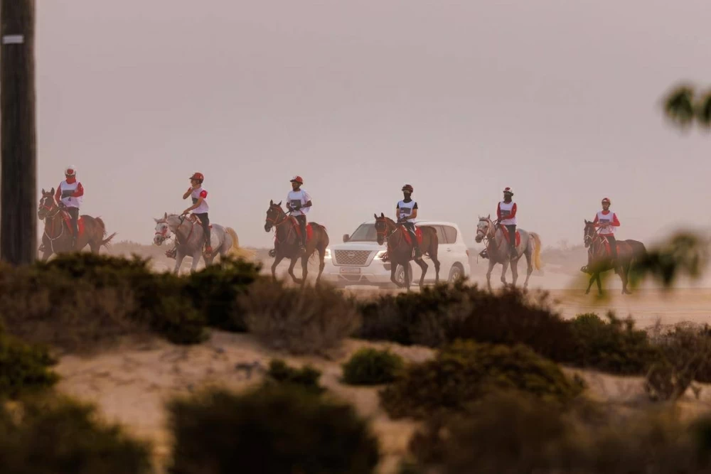 الاتحاد الملكي البحريني للفروسية وسباقات القدرة ينظم بطولة العيد الوطني للقدرة