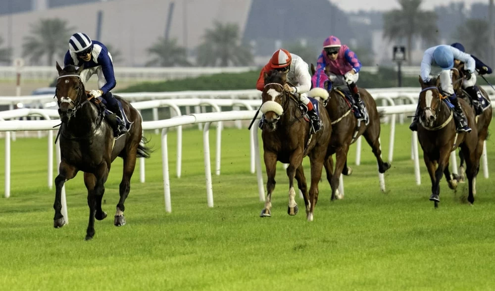 نخبة الجياد تتنافس على كؤوس خالد بن حمد وأنجاله بمهرجان العيد الوطني 