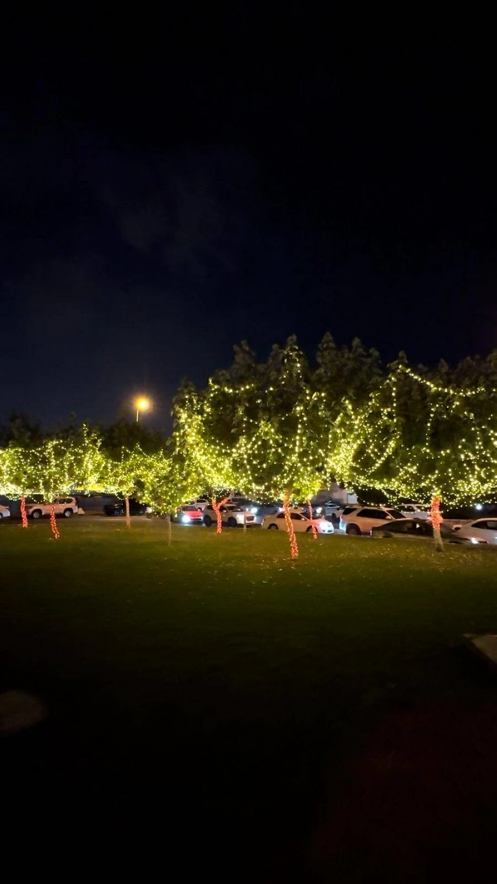 وكيل شؤون البلديات: شوارع البحرين تزدان بالإنارة احتفاءً بالأعياد الوطنية 