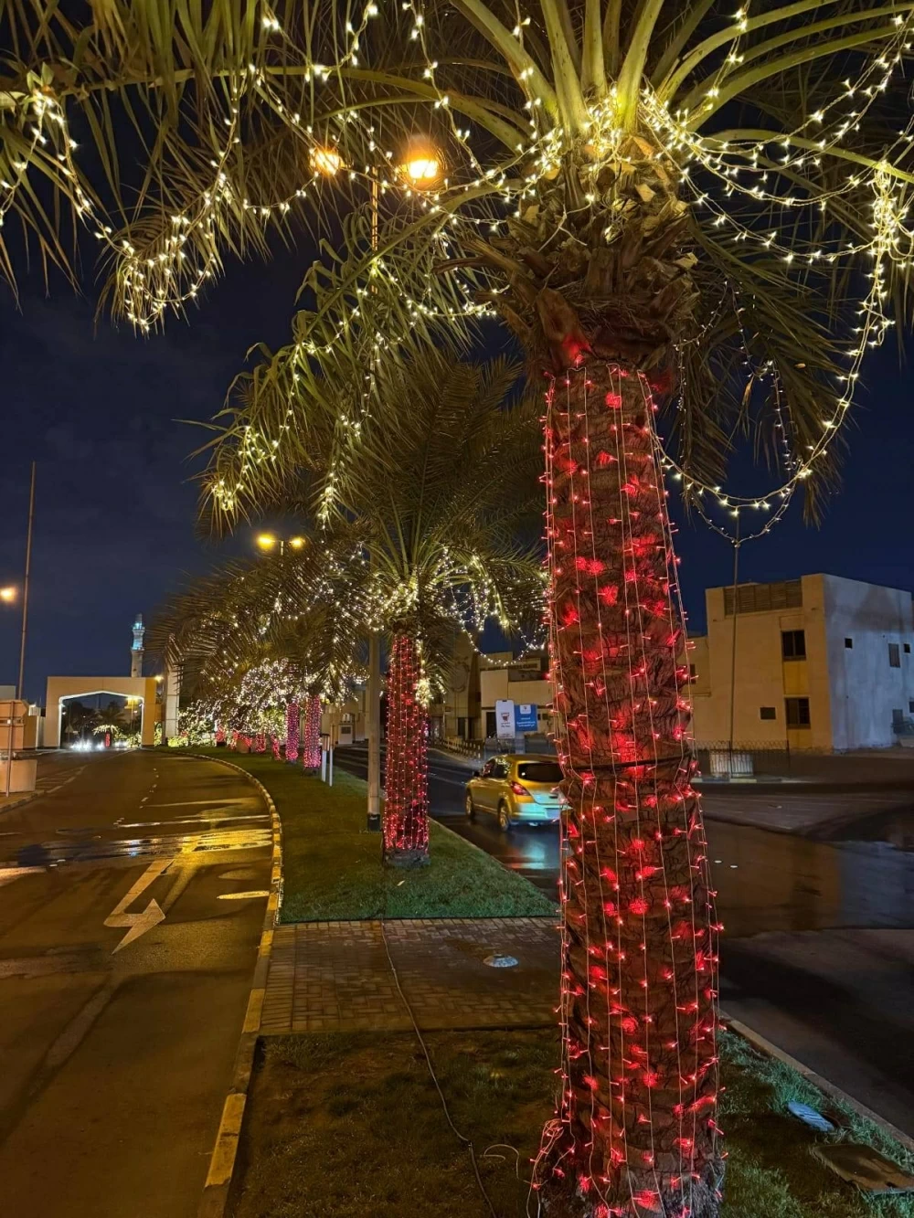 وكيل شؤون البلديات: شوارع البحرين تزدان بالإنارة احتفاءً بالأعياد الوطنية