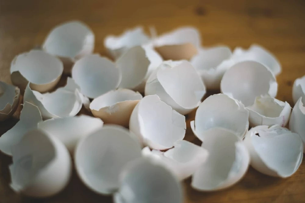 دراسة: تناول قشر البيض يخفف التجاعيد ويحسّن كثافة الشعر 