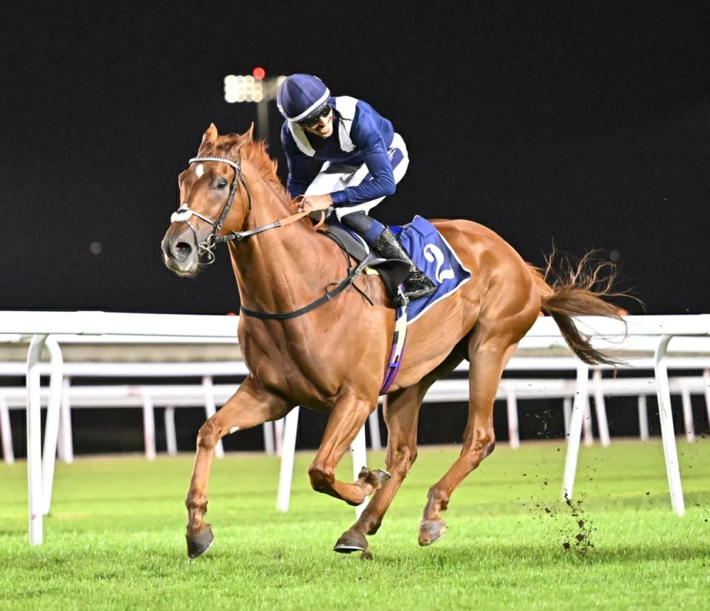 انطلاقة مهرجان العيد الوطني بنادي راشد للفروسية وسط أجواء مميزة