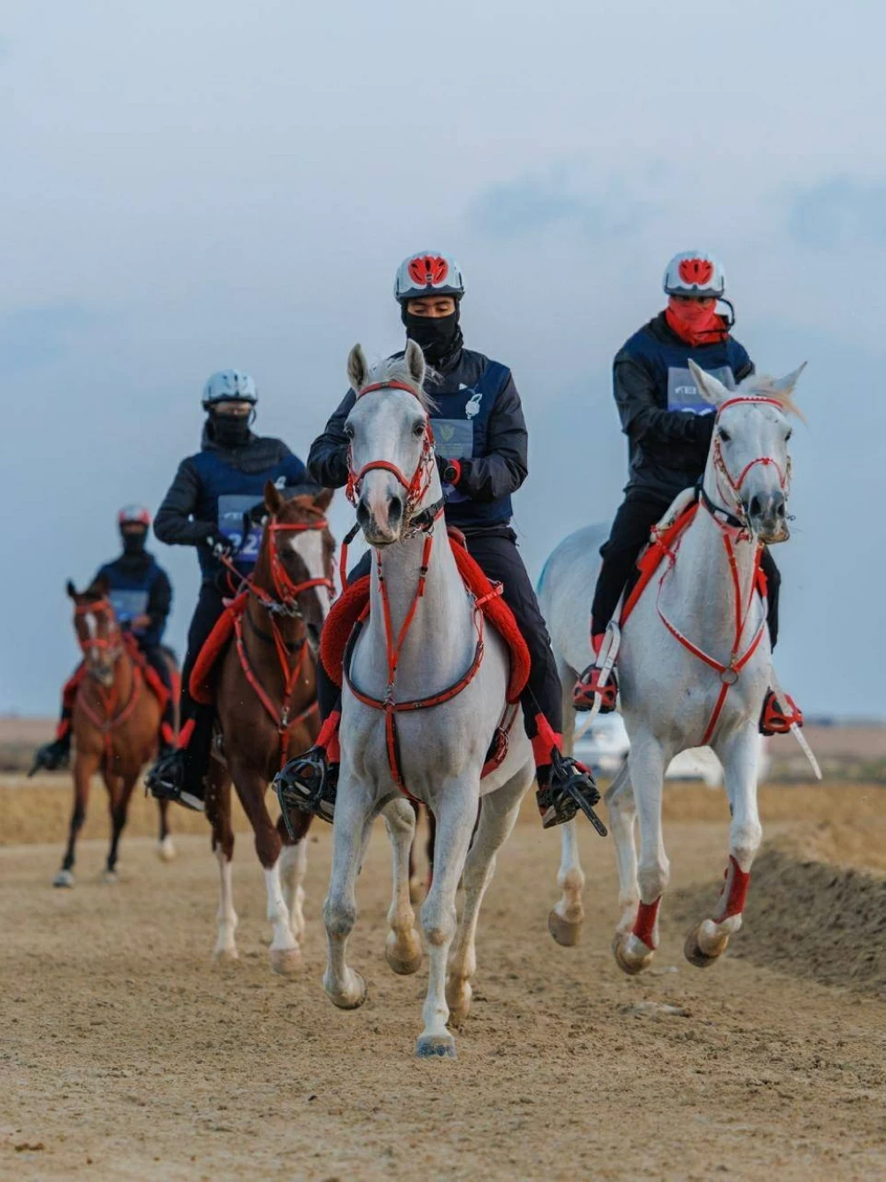مشاركة واسعة في السباقات الدولية والمحلية لبطولة العيد الوطني للقدرة
