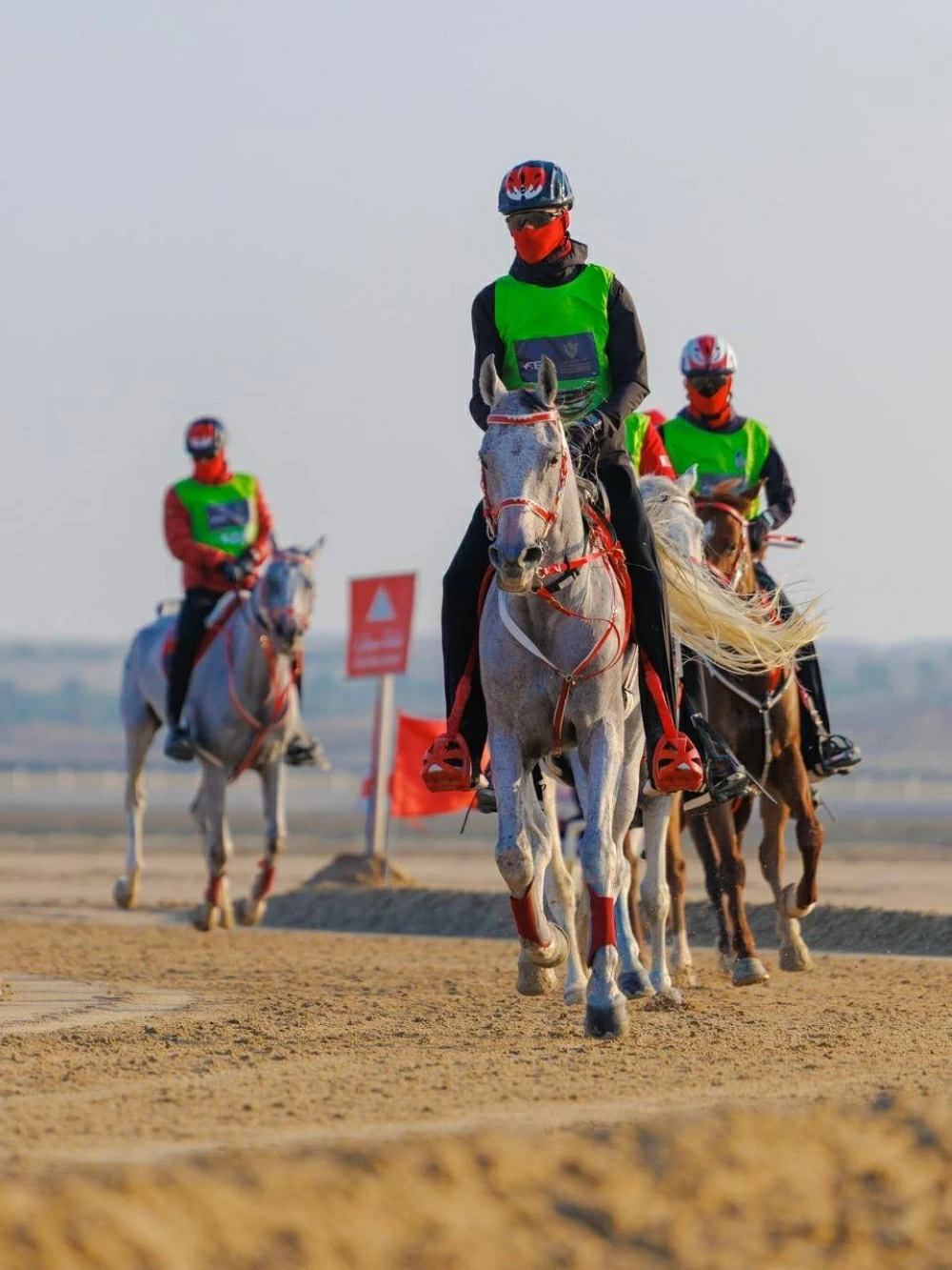 مشاركة واسعة في السباقات الدولية والمحلية لبطولة العيد الوطني للقدرة