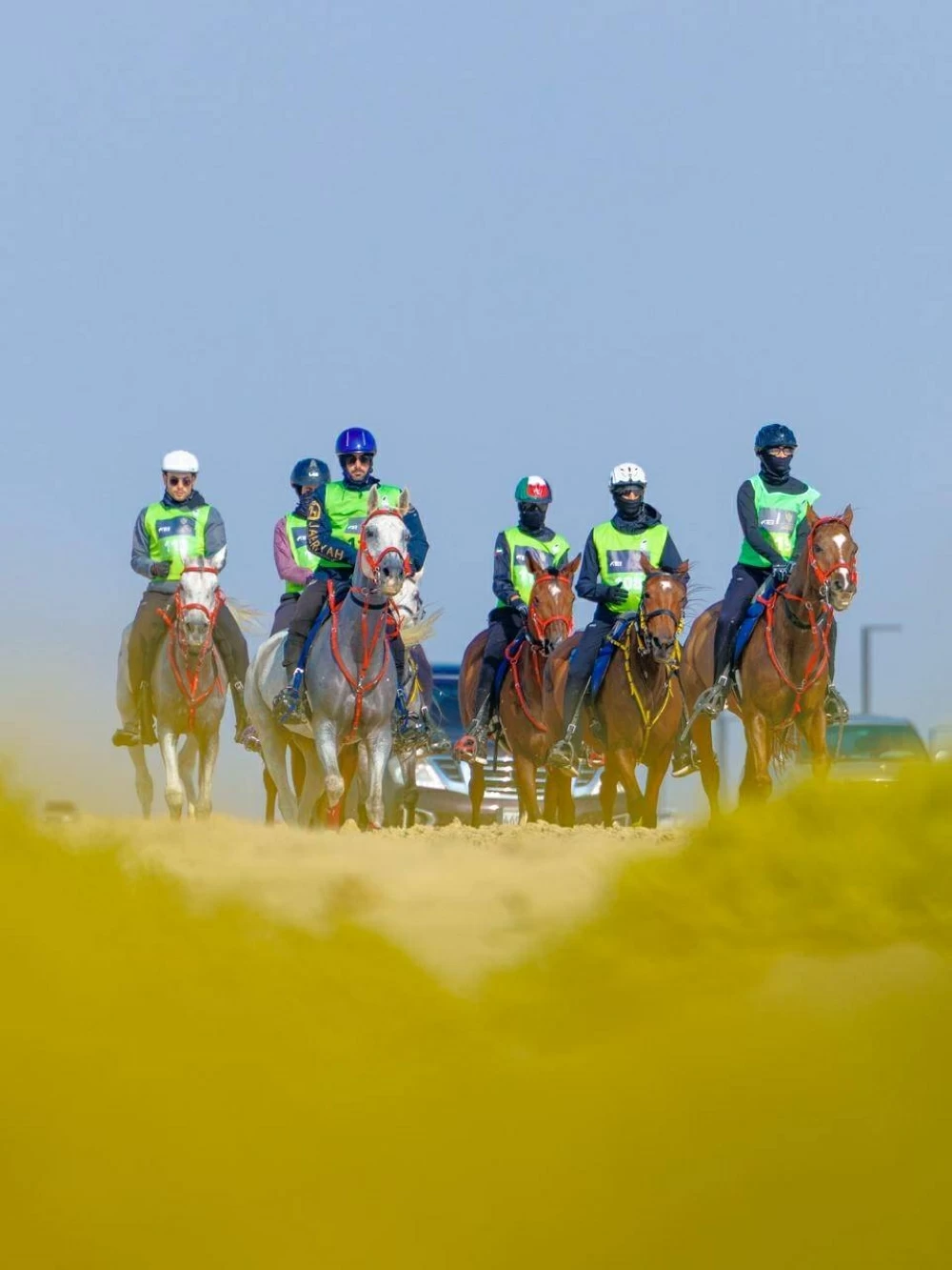 مشاركة واسعة في السباقات الدولية والمحلية لبطولة العيد الوطني للقدرة