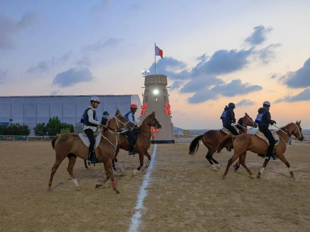 مشاركة واسعة في السباقات الدولية والمحلية لبطولة العيد الوطني للقدرة