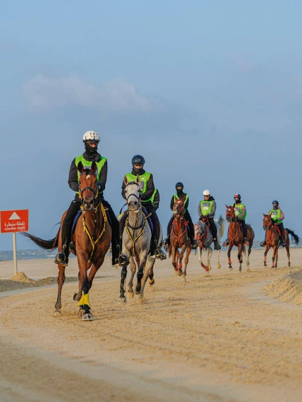 مشاركة واسعة في السباقات الدولية والمحلية لبطولة العيد الوطني للقدرة