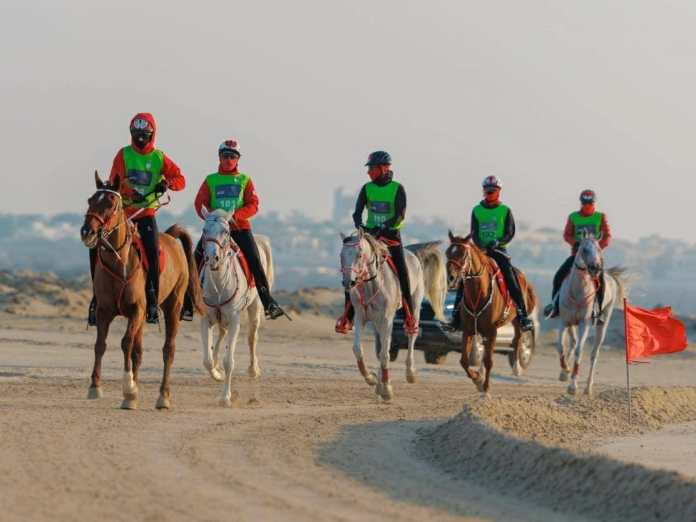 مشاركة واسعة في السباقات الدولية والمحلية لبطولة العيد الوطني للقدرة