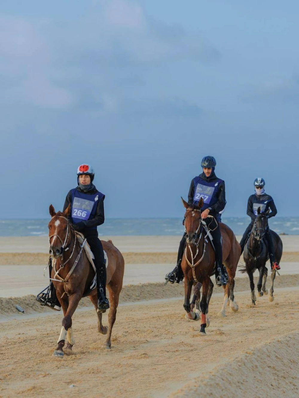 مشاركة واسعة في السباقات الدولية والمحلية لبطولة العيد الوطني للقدرة